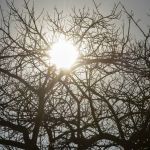 Inmet emite alerta laranja de baixa umidade em 131 cidades mineiras; veja quais