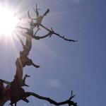 Previsão do tempo: baixa umidade do ar deixa BH e 338 cidades de Minas em alerta