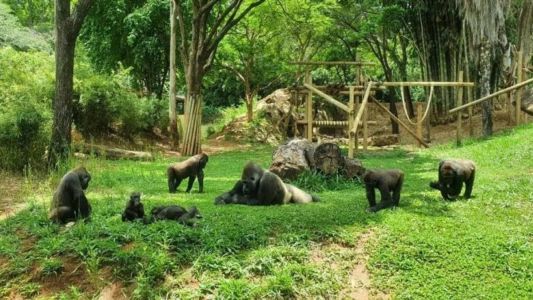 Confira as mudanças de horários dos serviços na capital