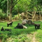 Veja o que abre e fecha em BH no feriado de 12 de outubro