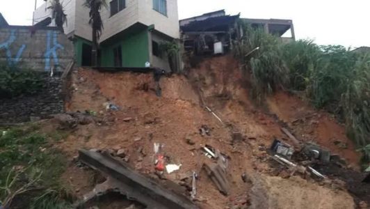 Confira as recomendações;