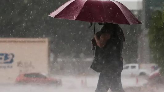 Confira as recomendações;