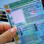 Como renovar a Carteira Nacional de Habilitação? Veja detalhes do Detran-MG