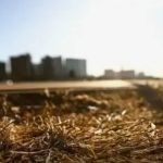 BH está em alerta de baixa umidade até sexta (11); confira recomendações para o tempo seco