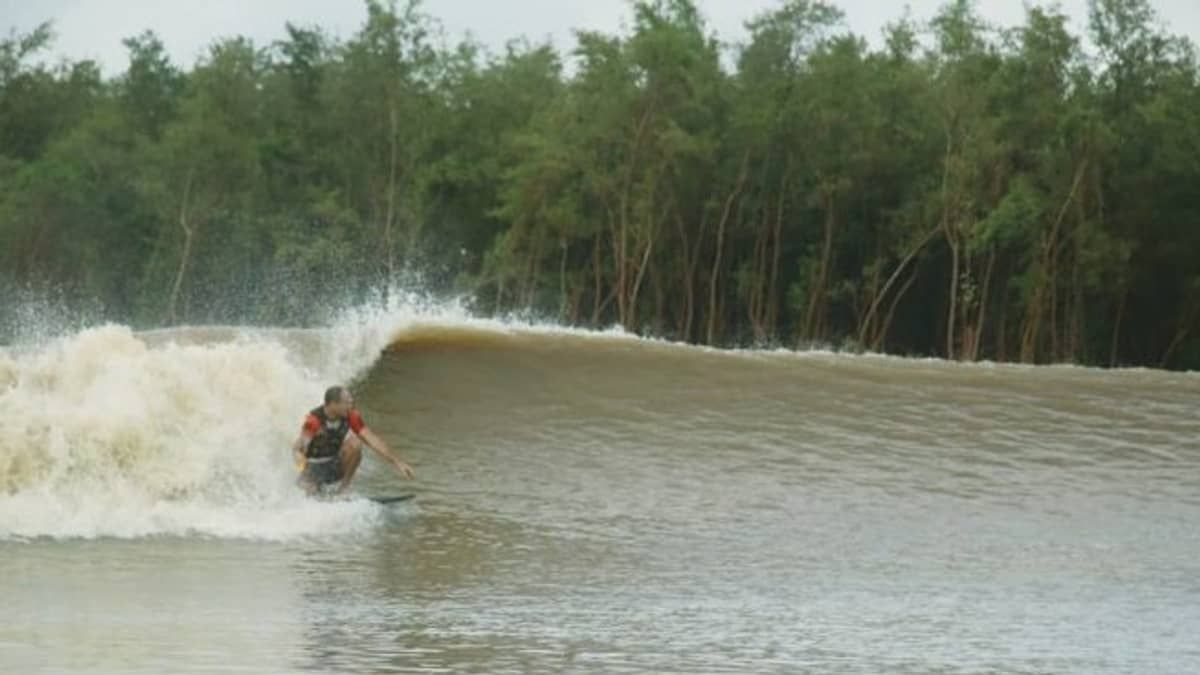 Surfe na Amazônia? Conheça os desafios de domar a Pororoca