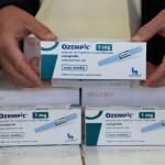 Ozempic grátis no SUS? Veja por que governo decidiu rejeitar 'caneta emagrecedora'