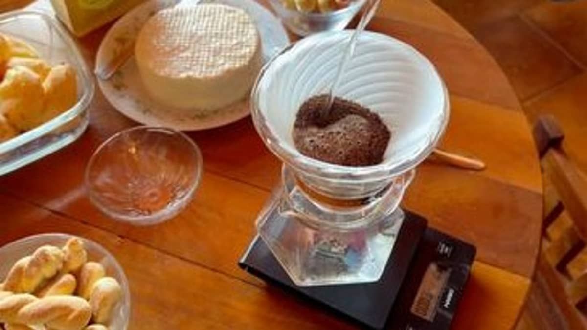 Café Especial e Comum, entenda a diferença!