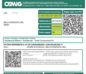 Saiba como evitar golpes na conta de luz e entenda as mudanças na fatura da Cemig;