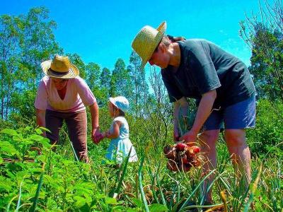 Agricultura familiar
