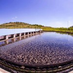 AMM aciona TCE para pedir esclarecimentos sobre os efeitos da privatização da Copasa