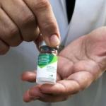 Vacina da gripe em BH: veja quem pode se vacinar neste sábado (16)