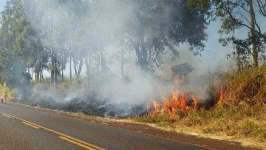 Corpo de Bombeiros foi acionado por meio do 193 e, ao chegarem no local, flagraram um homem colocando fogo na mata