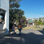 Caminhoneiro que atropelou e matou a esposa no Anel Rodoviário diz que foi acidente