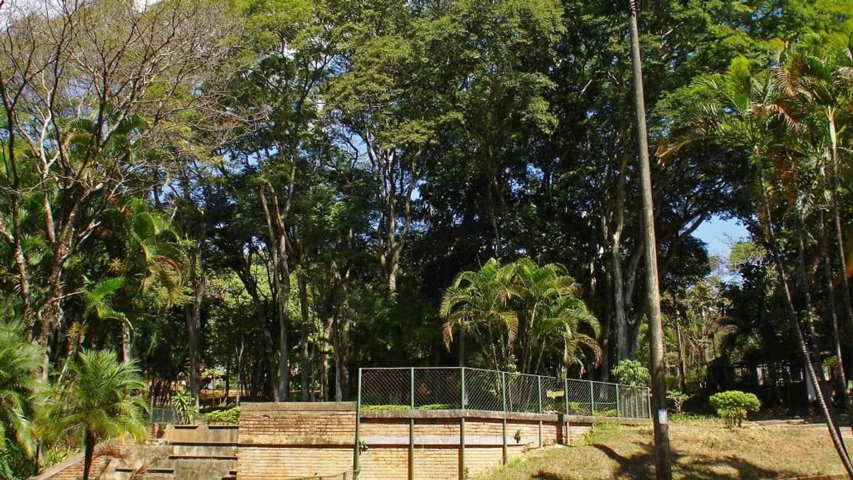 Corpo de mulher é encontrado dentro de parque em BH após pessoas ouvirem gritos