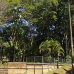 Corpo de mulher é encontrado dentro de parque em BH após pessoas ouvirem gritos