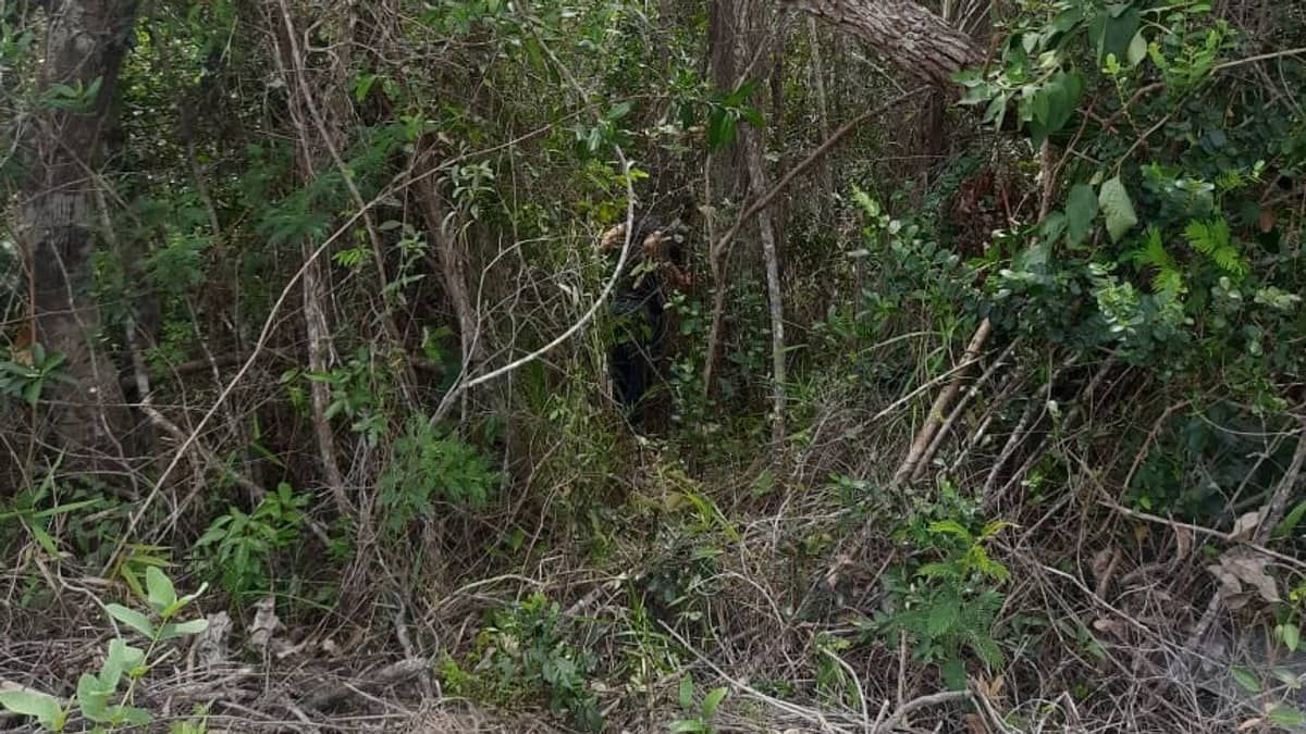 Corpo de mulher desaparecida em Minas Gerais é encontrado e autor confessa crime