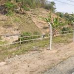 Homem é morto com 11 tiros na cabeça em fazenda na Grande BH