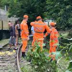 Corpo é encontrado em linha de trem desativada em Cataguases, na Zona da Mata