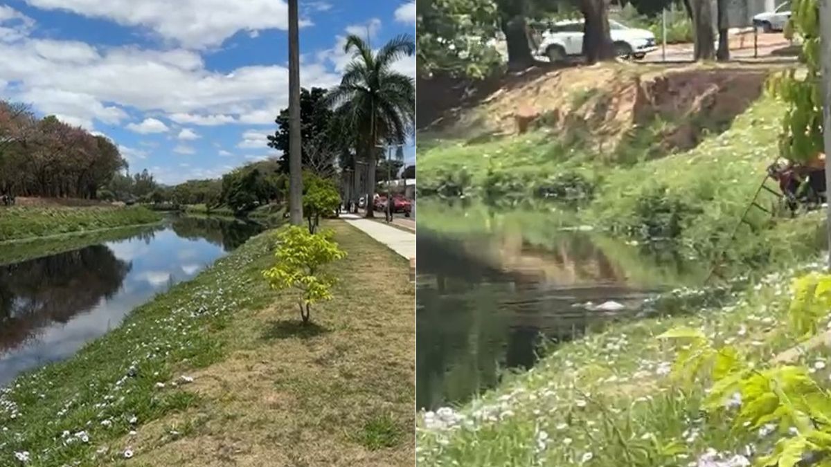 Vídeo: casal de idosos é encontrado abraçado após se afogar na Lagoa da Pampulha, em BH