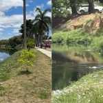 Vídeo: casal de idosos é encontrado abraçado após se afogar na Lagoa da Pampulha, em BH