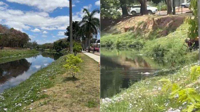 Vídeo: casal de idosos é encontrado abraçado após se afogar na Lagoa da Pampulha, em BH