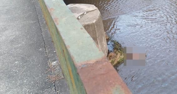 Foto mostra cadáver encontrado boiando em córrego na Pampulha, em Belo Horizonte