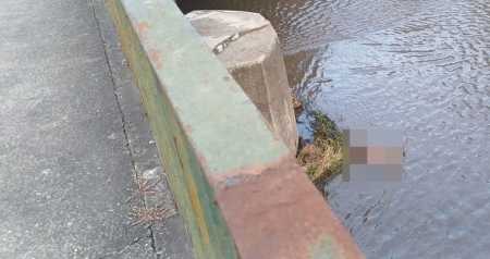 Foto mostra cadáver encontrado boiando em córrego na Pampulha, em Belo Horizonte