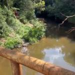 Minas Gerais: idoso morre afogado em córrego durante passeio familiar