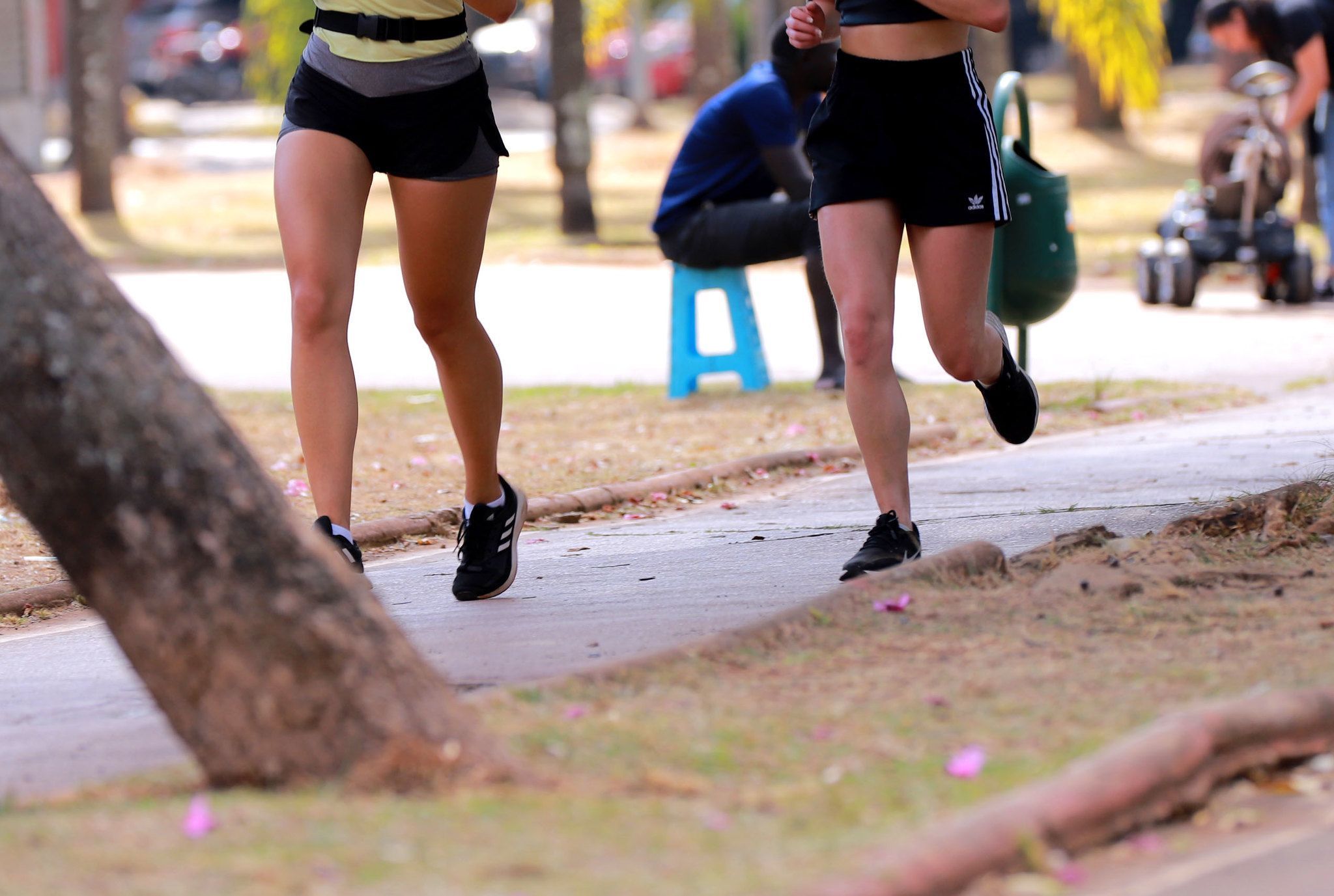 Câmara de BH discute próximos passos após anúncio de maratona na cidade
