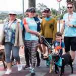Corrida Itatiaia vai promover feira de adoção de pets; confira programação