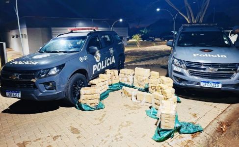 Crack Carga Peixe SP