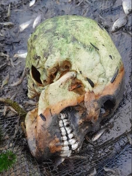 Homem pesca crânio humano em açude em Alagoas