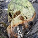 Homem pesca crânio humano em açude em Alagoas