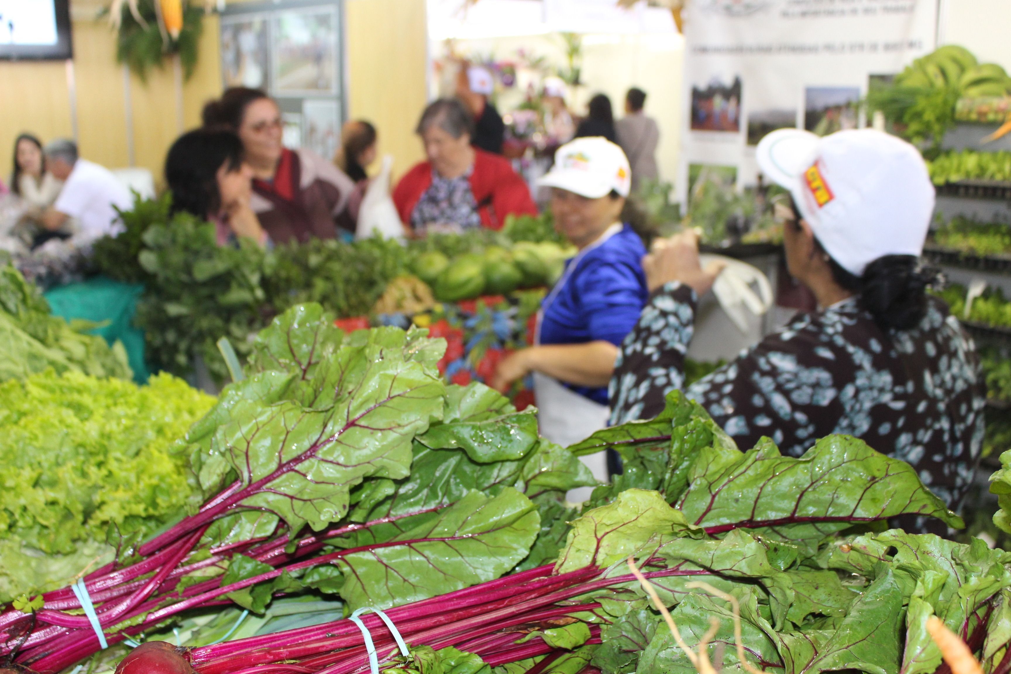 Feira traz novidades da agricultura familiar para o Expominas e deverá movimentar R$ 2 milhões