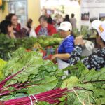 Feira traz novidades da agricultura familiar para o Expominas e deverá movimentar R$ 2 milhões