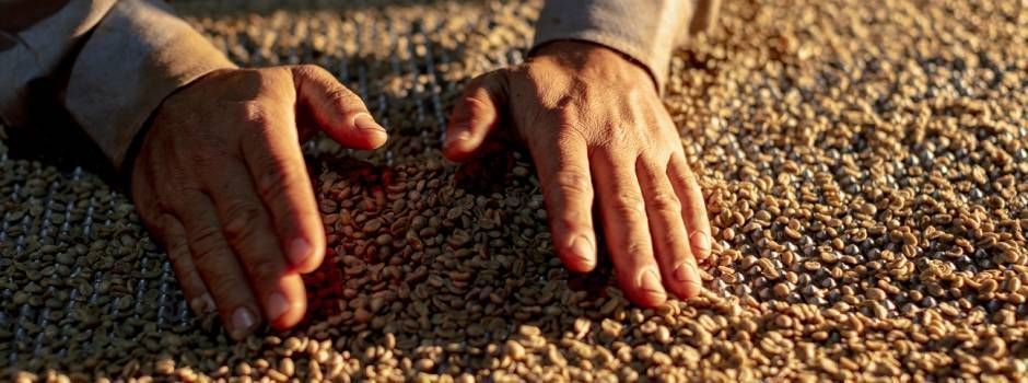 Agro de Minas Gerais impulsiona o PIB