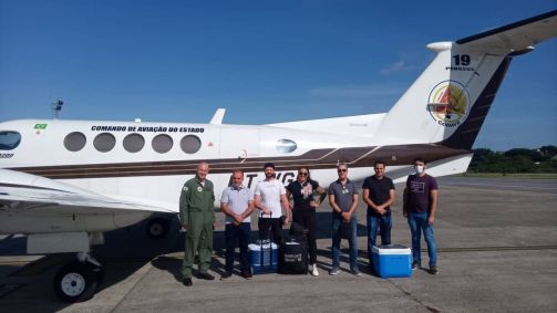 Crescimento foi registrado entre junho do ano passado e o início deste ano