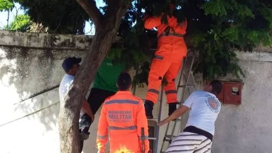 Criança ficou presa na concertina que cercava a própria casa