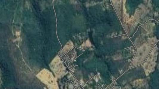 Criança foi encontrada saindo da mata