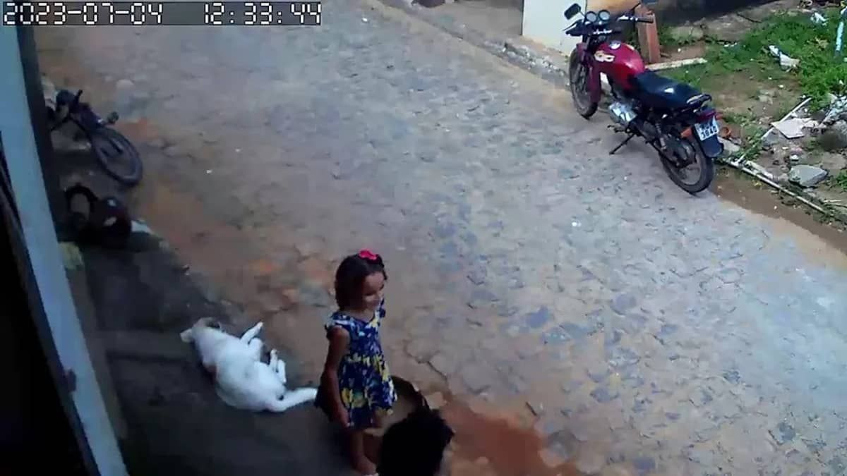 Criança está desaparecida há 11 dias na Paraíba; 500 pessoas participam das buscas