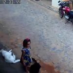 Criança está desaparecida há 11 dias na Paraíba; 500 pessoas participam das buscas