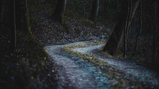 Crime aconteceu em uma região de floresta no Estado de Washington, nos EUA