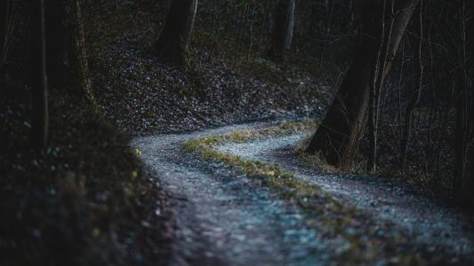 Crime aconteceu em uma região de floresta no Estado de Washington, nos EUA