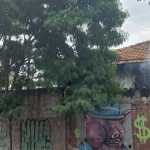Homem é morto pela polícia depois de atear fogo na própria casa na região Leste de BH