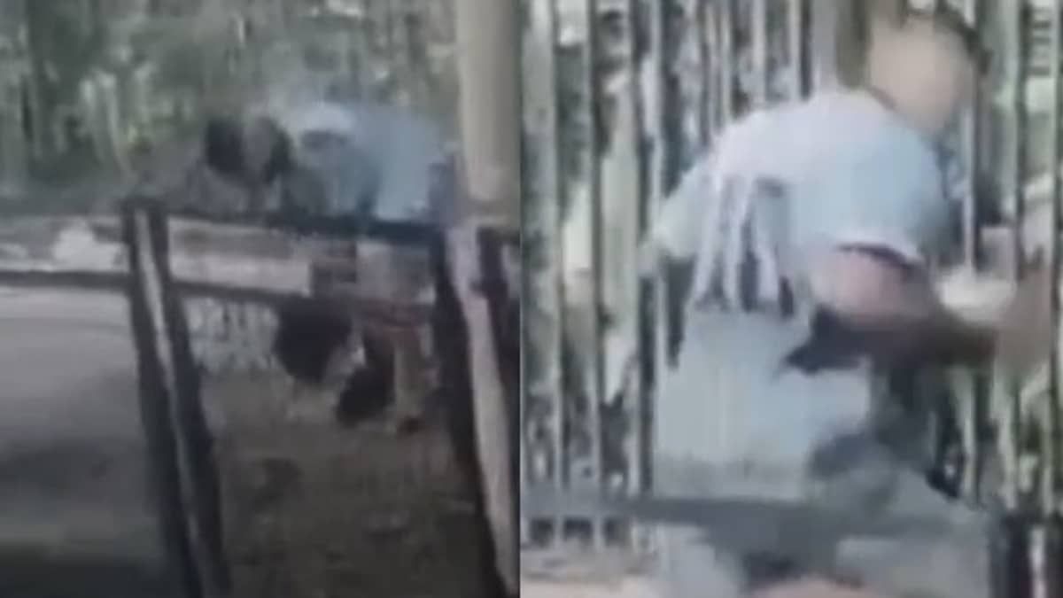 Vídeo: jovem é espancada em assalto no Centro, próximo ao Parque Municipal, em BH:  'feliz de estar viva'