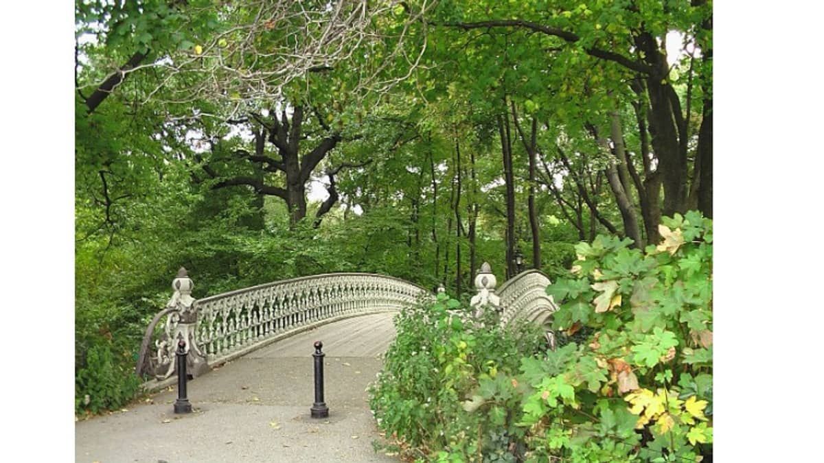 Casal tem cachorro assassinado por desconhecido em pleno Central Park  