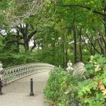 Casal tem cachorro assassinado por desconhecido em pleno Central Park