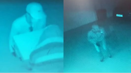 Criminosos levaram até o cofre da mansão