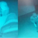 Câmeras flagram trio invadindo casa de Mirella e Ceará: 'gente conhecida'