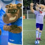 Cruzeiro: como o criador do Raposão avaliou nova identidade do mascote  
